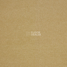 Ковролин AW Orseis Orseis 54 фото 1 | FLOORDEALER